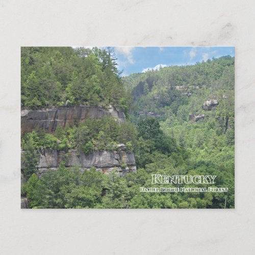 Daniel Boone National Forest Overlook  Postcard