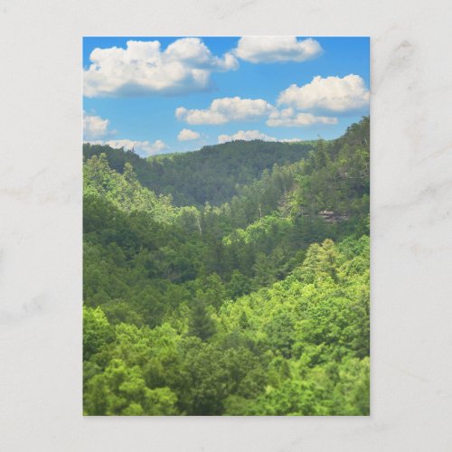 Daniel Boone National Forest Overlook Postcard