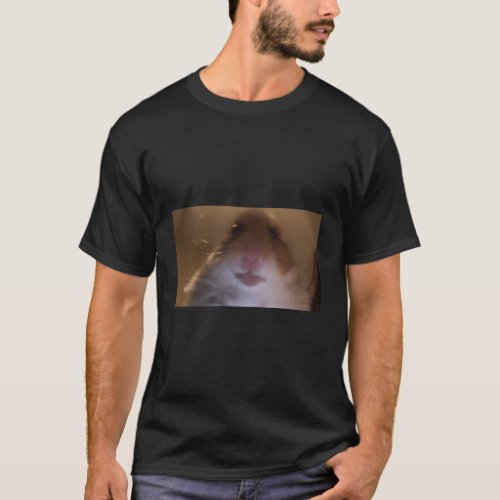 Dank Meme Hamster Staring Front Camera Internet T_Shirt