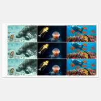 Danni the Mermaid and her friends Labels