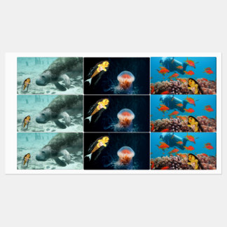 Danni the Mermaid and her friends Labels