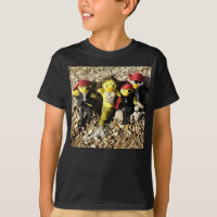 Danni the Mermaid with Pirates T-Shirt