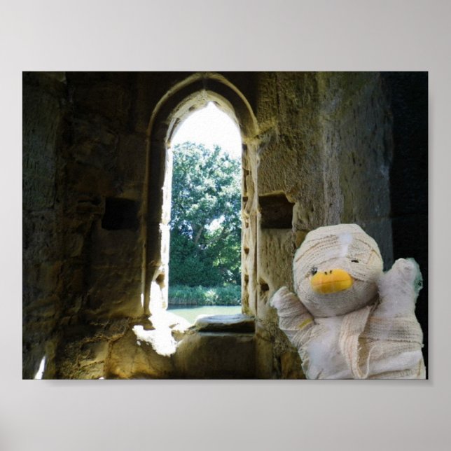 Danny Duck the Mummy Poster (Front)