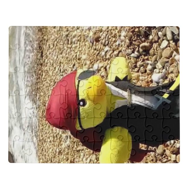 Danny Duck the Pirate Jigsaw Puzzle (Puzzle Horizontal)