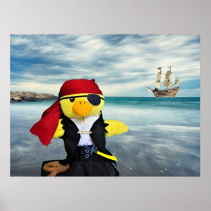 Danny Duck the Pirate. Poster