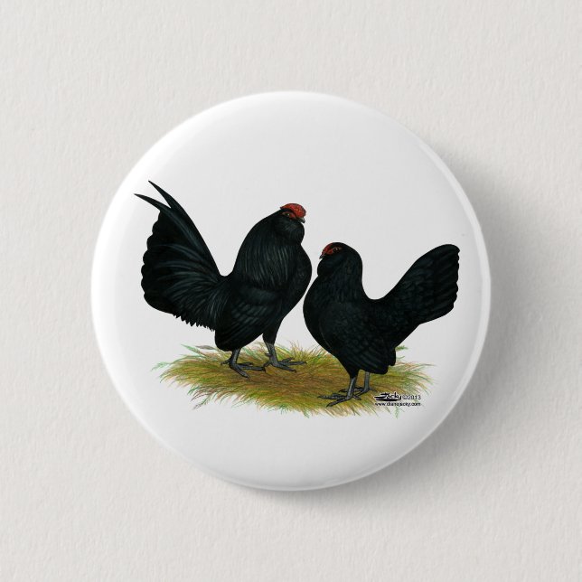D'Anvers Black Bantams Button (Front)