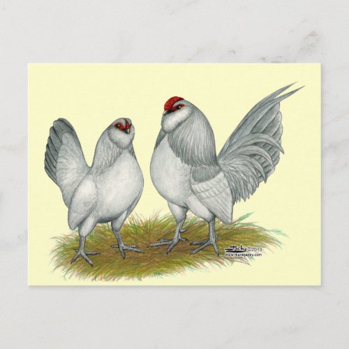 DAnvers Self Blue Bantams Postcard