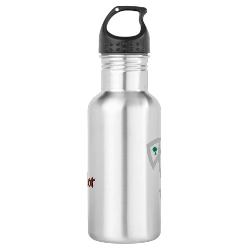 DAoC Stainless Steel Water Bottle
