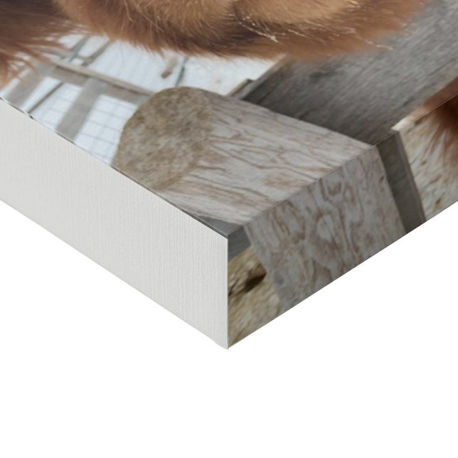 Daphne Canvas (Corner)