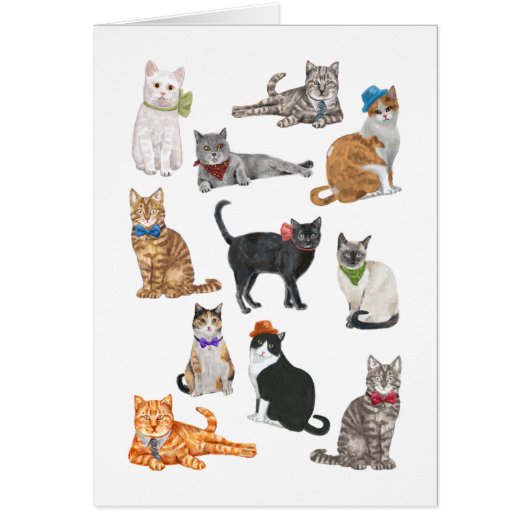 Dapper Cats Cards (Front)