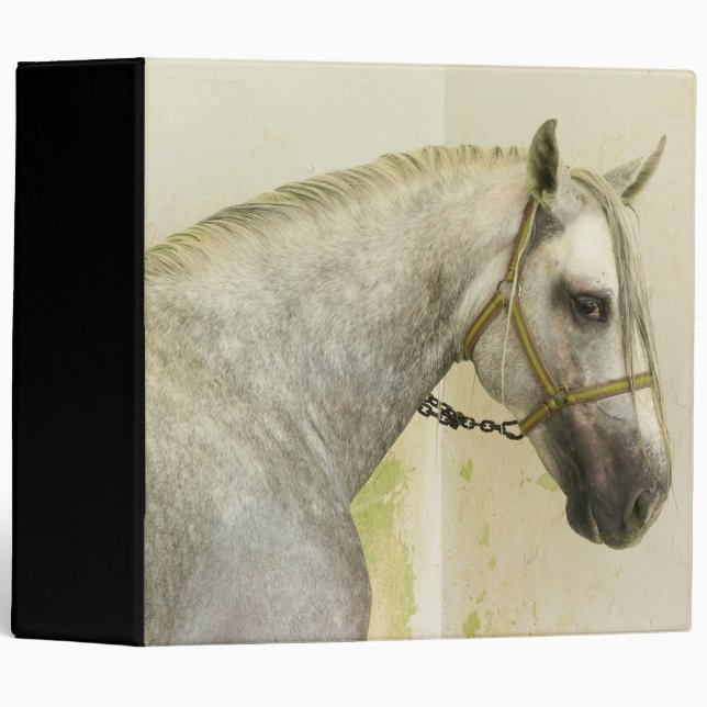 Dapple Gray Andalusian Horse Binder (Front/Spine)