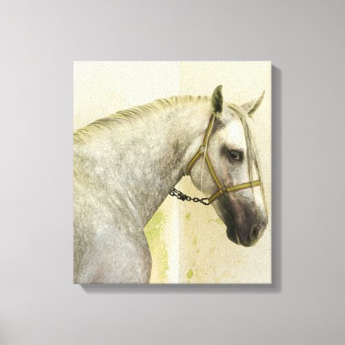 Dapple Gray Andalusian Horse Canvas Print