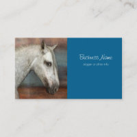 Dapple Gray Andalusian Horse Portrait