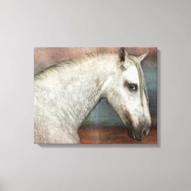 Dapple Gray Andalusian Horse Portrait Canvas Print (Front)