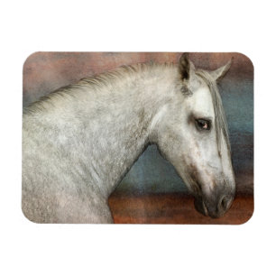 Dapple Gray Andalusian Horse Portrait Magnet