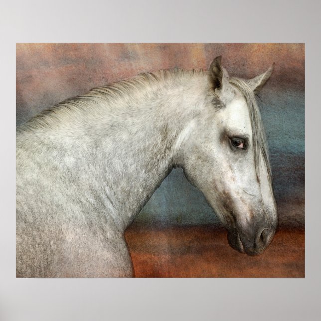 Dapple Gray Andalusian Horse Portrait Poster (Front)