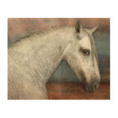 Dapple-grey Spanish horse - portrait in motion, Posters, Art Prints, Wall  Murals