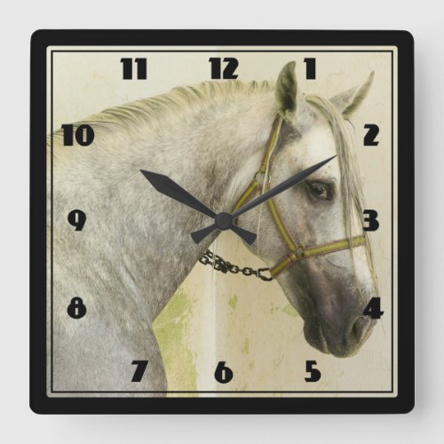 Dapple Gray Andalusian Horse Square Wall Clock