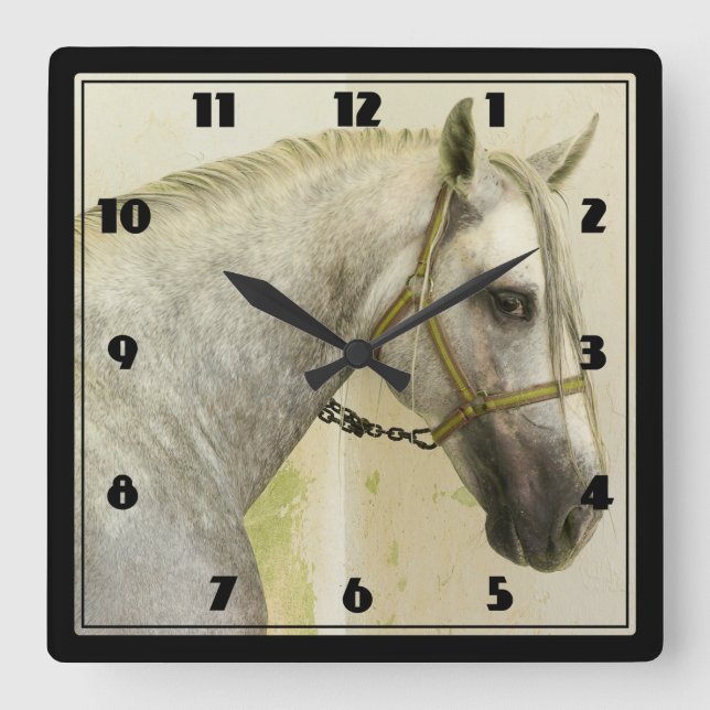 Dapple Gray Andalusian Horse Square Wall Clock (Front)