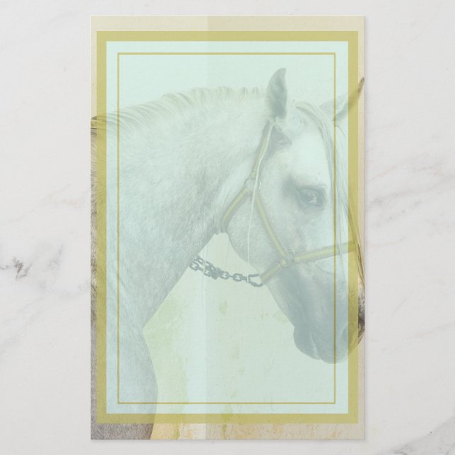 Dapple Gray Andalusian Horse Stationery (Front)