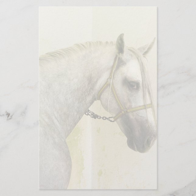 Dapple Gray Andalusian Horse Stationery (Front)
