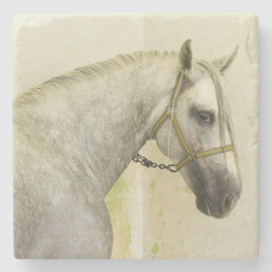 Dapple Gray Andalusian Horse Stone Coaster