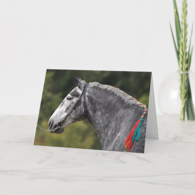 Dapple gray Percheron horse birthday Card (Front)