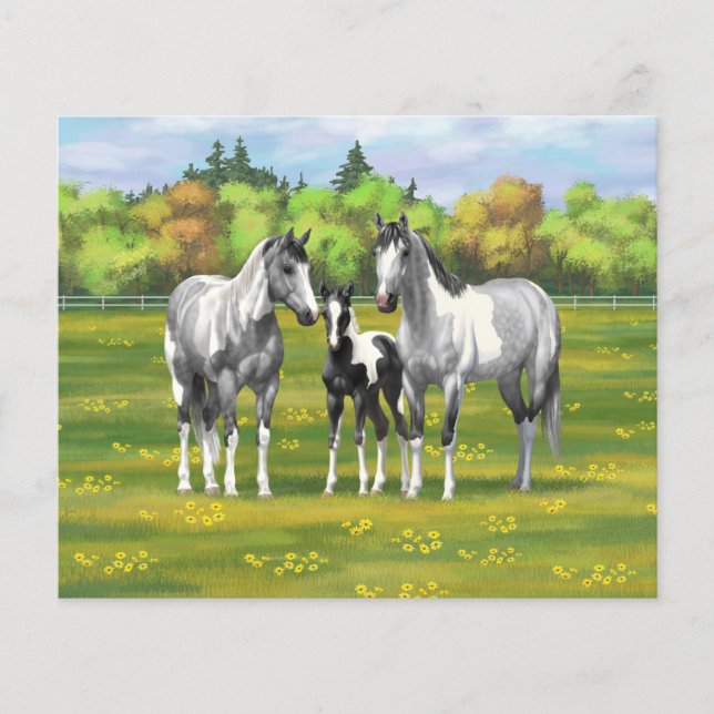 Dapple Gray Pinto Paint Horses In Summer Pasture (Front)