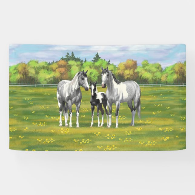 Dapple Gray Pinto Paint Horses In Summer Pasture Banner (Horizontal)