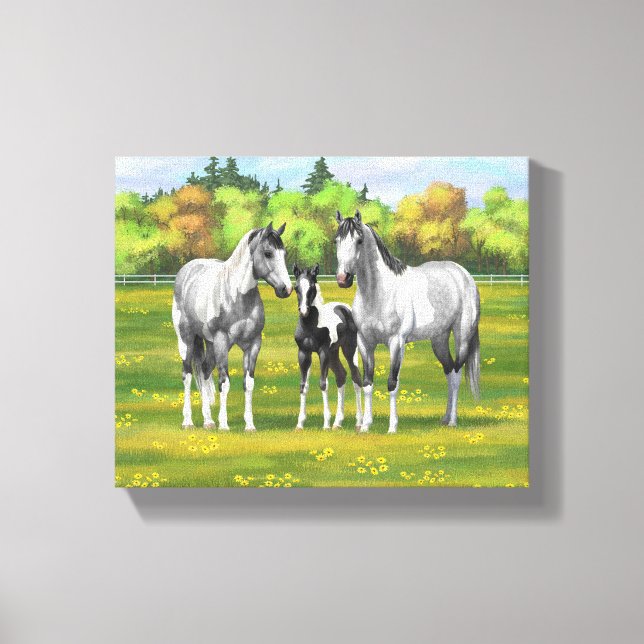 Dapple Gray Pinto Paint Horses In Summer Pasture Canvas Print (Front)