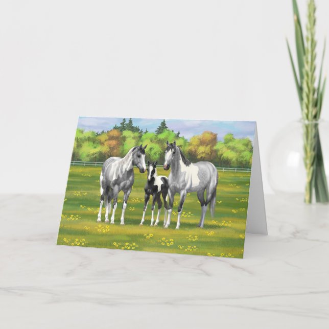 Dapple Gray Pinto Paint Horses In Summer Pasture Card (Front)