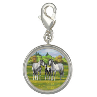 Dapple Gray Pinto Paint Horses In Summer Pasture Charm