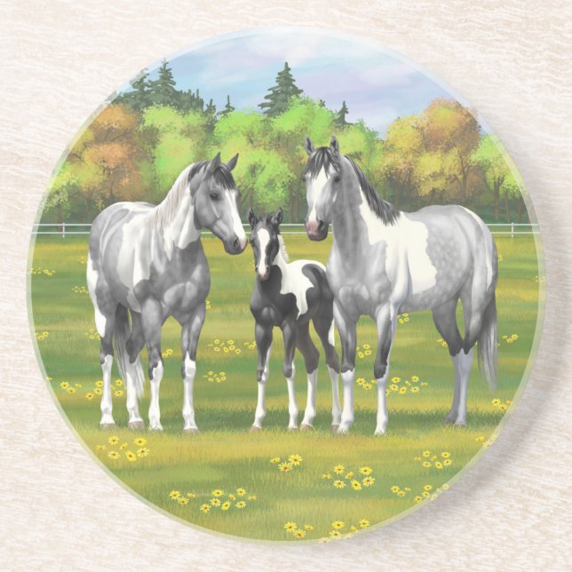 Dapple Gray Pinto Paint Horses In Summer Pasture Coaster (Front)