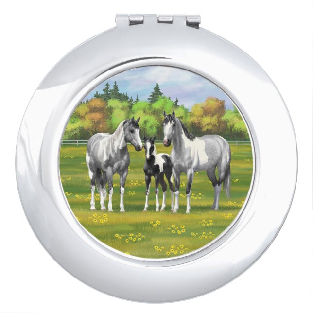 Dapple Gray Pinto Paint Horses In Summer Pasture Compact Mirror (Front)