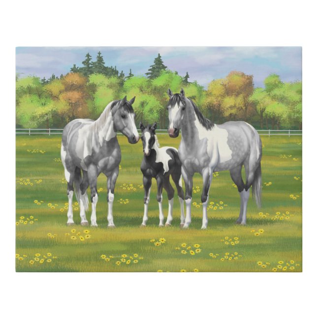 Dapple Gray Pinto Paint Horses In Summer Pasture Faux Canvas Print (Front)