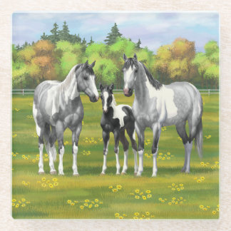 Dapple Gray Pinto Paint Horses In Summer Pasture Glass Coaster