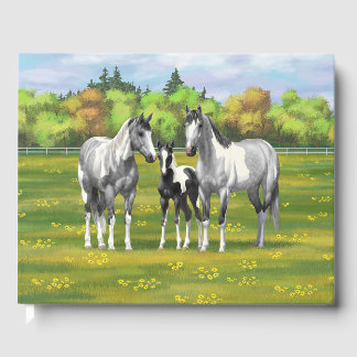 Dapple Gray Pinto Paint Horses In Summer Pasture Guest Book