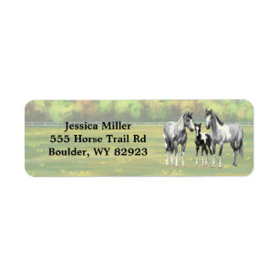Dapple Gray Pinto Paint Horses In Summer Pasture Label