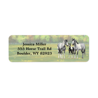 Dapple Gray Pinto Paint Horses In Summer Pasture Label