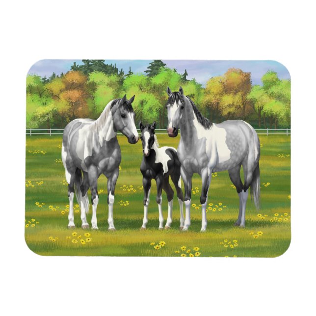 Dapple Gray Pinto Paint Horses In Summer Pasture Magnet (Horizontal)