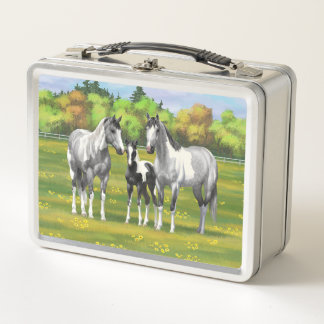 Dapple Gray Pinto Paint Horses In Summer Pasture Metal Lunch Box