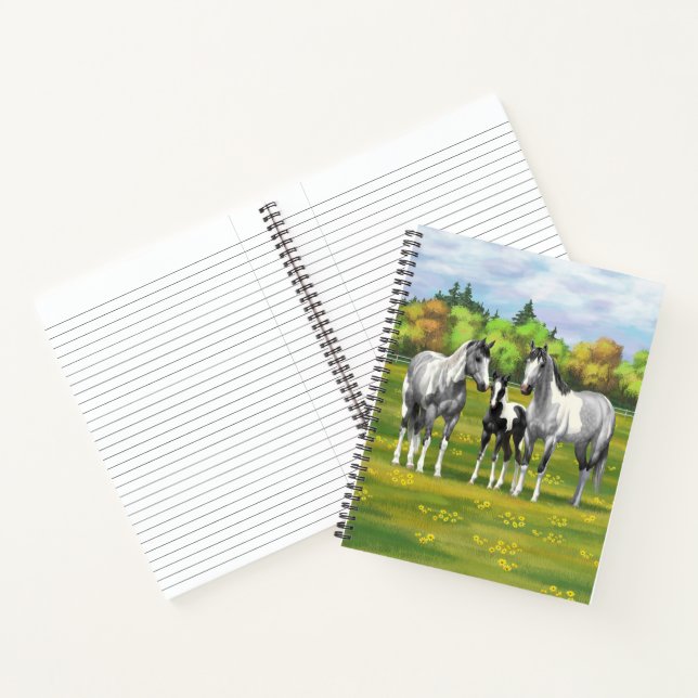 Dapple Gray Pinto Paint Horses In Summer Pasture Notebook (Inside)