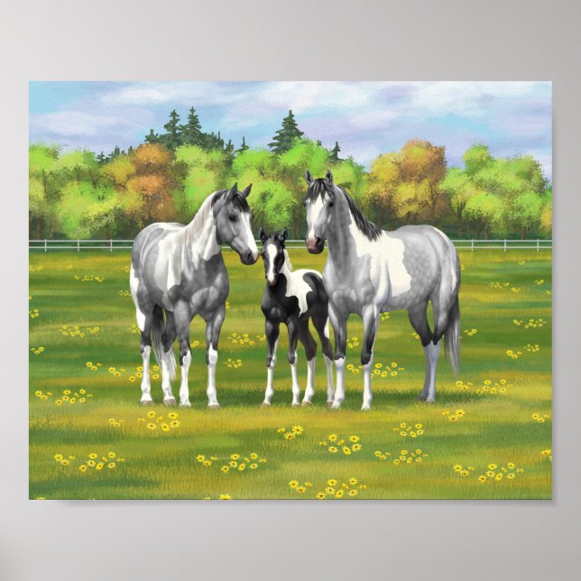 Dapple Gray Pinto Paint Horses In Summer Pasture Poster (Front)