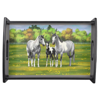 Dapple Gray Pinto Paint Horses In Summer Pasture Serving Tray