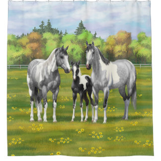Dapple Gray Pinto Paint Horses In Summer Pasture Shower Curtain