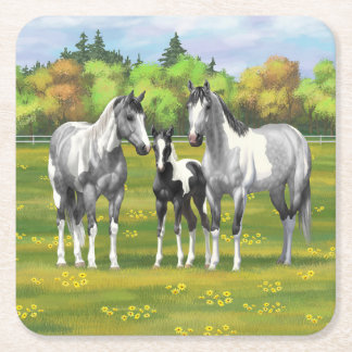 Dapple Gray Pinto Paint Horses In Summer Pasture Square Paper Coaster