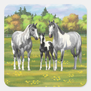 Dapple Gray Pinto Paint Horses In Summer Pasture Square Sticker