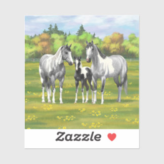 Dapple Gray Pinto Paint Horses In Summer Pasture Sticker