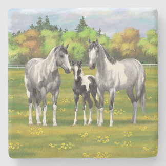 Dapple Gray Pinto Paint Horses In Summer Pasture Stone Coaster