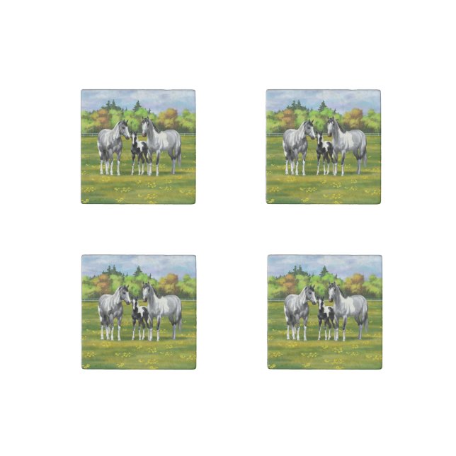 Dapple Gray Pinto Paint Horses In Summer Pasture Stone Magnet (Front)